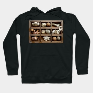 Corals, fossils, seeds and stones Hoodie